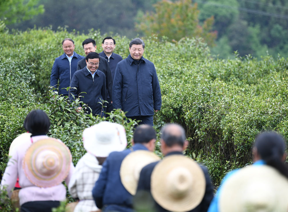 2020年4月21日，習近平來到陜西省安康市平利縣老縣鎮，在茶園考察脫貧攻堅情況。新華社記者 燕雁 攝